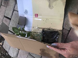 Müşteri yorumu görseli