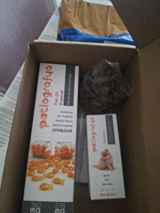 Değerlendirme fotoğrafı