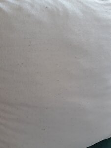 Değerlendirme fotoğrafı