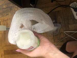 Müşteri yorumu görseli