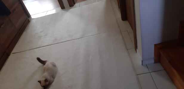 Müşteri yorumu görseli