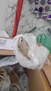 Müşteri yorumu görseli