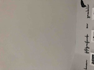Yorum fotoğrafı