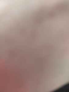 Değerlendirme fotoğrafı