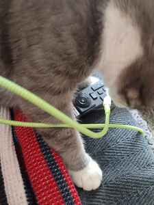 Müşteri yorumu görseli