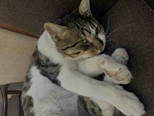 Değerlendirme fotoğrafı