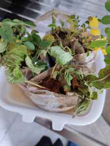 Müşteri yorumu görseli