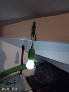 Müşteri yorumu görseli