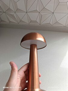 Müşteri yorumu görseli