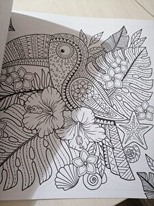 Müşteri yorumu görseli