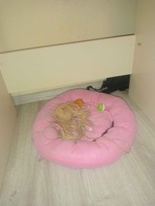 yorum görseli