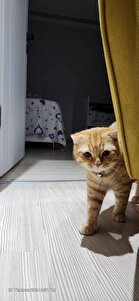 Değerlendirme fotoğrafı