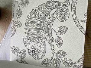 Müşteri yorumu görseli