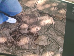 Değerlendirme fotoğrafı