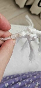 Müşteri yorumu görseli