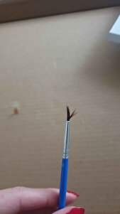 Müşteri yorumu görseli