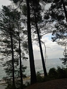 müşteri fotoğrafı