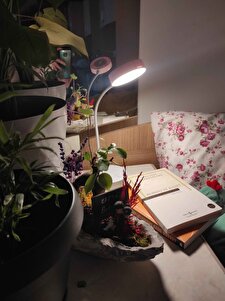 Müşteri yorumu görseli