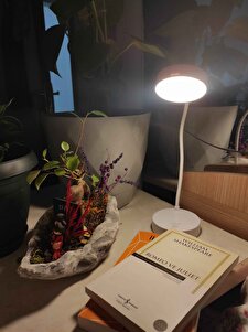 Müşteri yorumu görseli