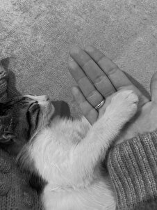 Müşteri yorumu görseli