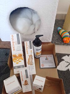 Değerlendirme fotoğrafı