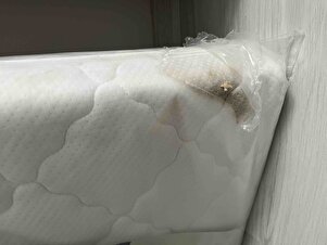 Müşteri yorumu görseli