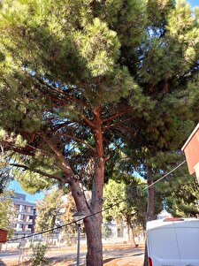 Değerlendirme fotoğrafı