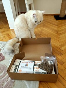 Değerlendirme fotoğrafı