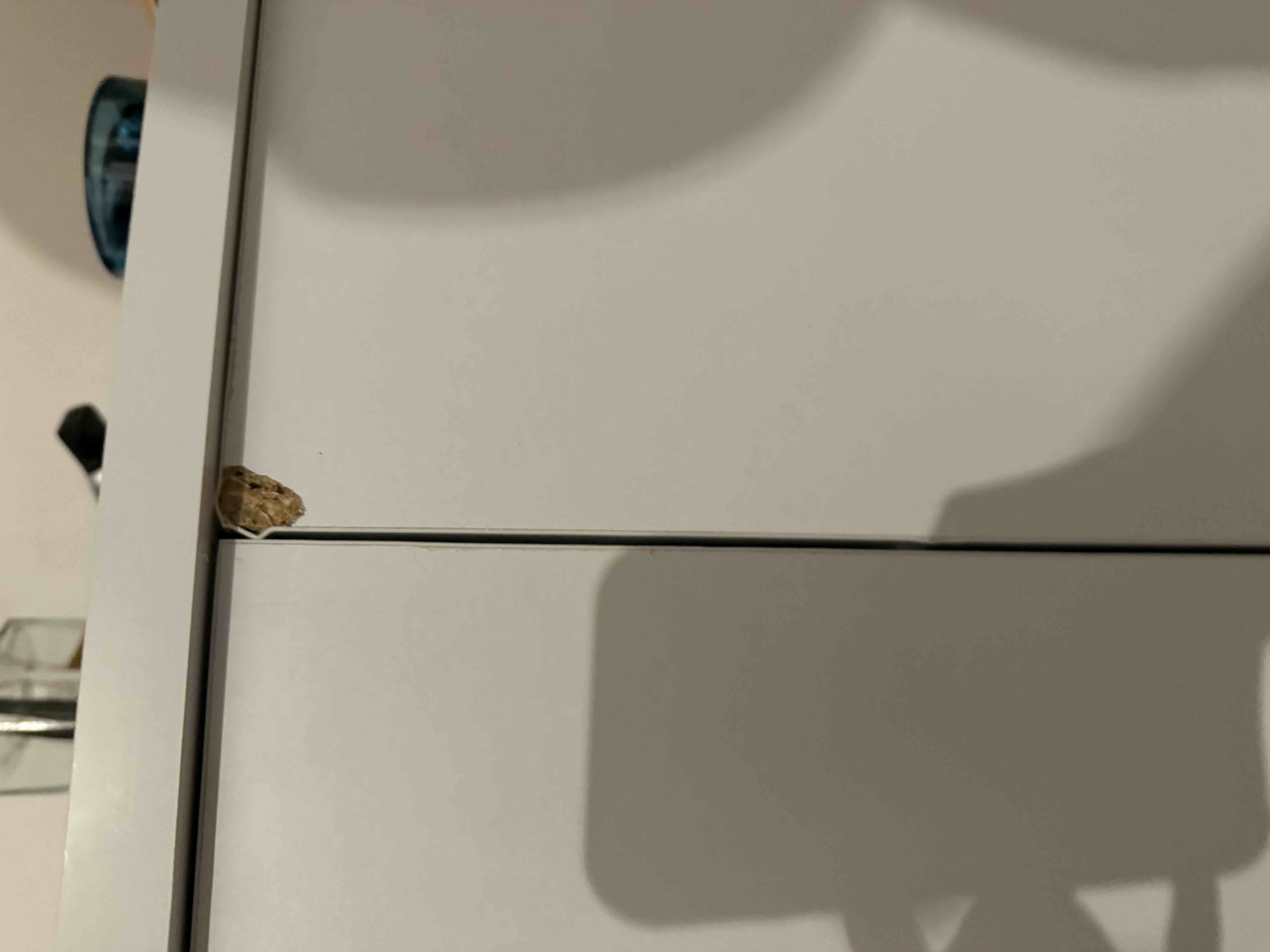 Değerlendirme fotoğrafı