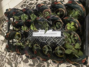 Müşteri yorumu görseli