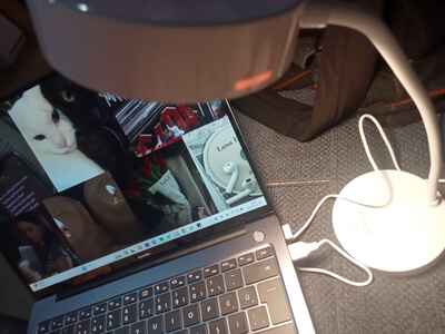 Müşteri yorumu görseli