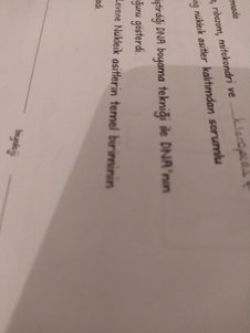 yorum görseli