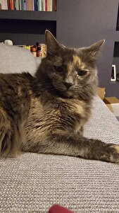 Değerlendirme fotoğrafı