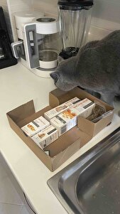 Değerlendirme fotoğrafı