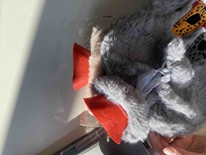 Değerlendirme fotoğrafı