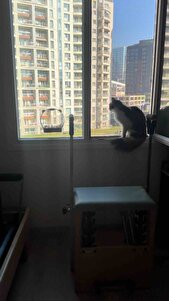 Yorum fotoğrafı