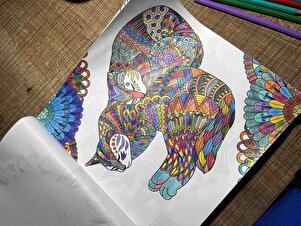 Müşteri yorumu görseli