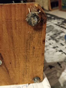 Müşteri yorumu görseli