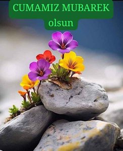yorum görseli