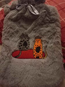 Değerlendirme fotoğrafı