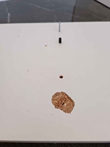 Müşteri yorumu görseli