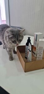 Değerlendirme fotoğrafı