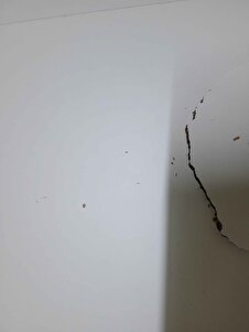 Müşteri yorumu görseli