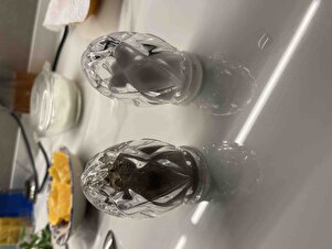 Müşteri yorumu görseli