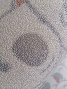 Değerlendirme fotoğrafı