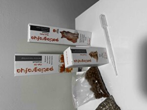 Değerlendirme fotoğrafı