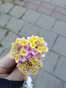 Müşteri yorumu görseli