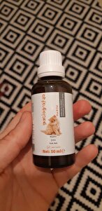 Değerlendirme fotoğrafı