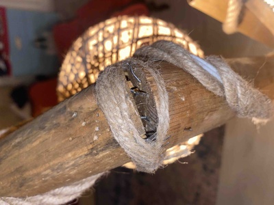 Müşteri yorumu görseli