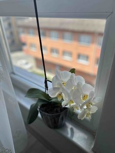 yorum görseli